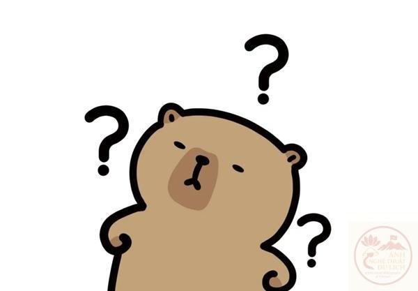 Câu hỏi thường gặp