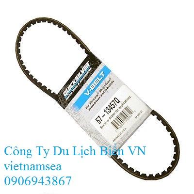 CTY TNHH Hàng Hải Thiên Việt Mỹ