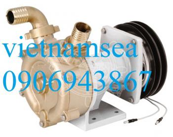 Máy bơm tự mồi bằng đồng được trang bị rôto ngôi sao bằng đồng