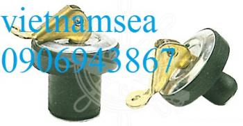 Cam expansion drain plugs