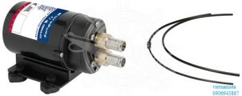 Reversible self-priming pump for oil emptying and gasoil pouring